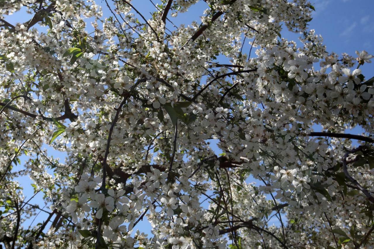 Varga Vendeghaz Sumegpraga Exteriér fotografie
