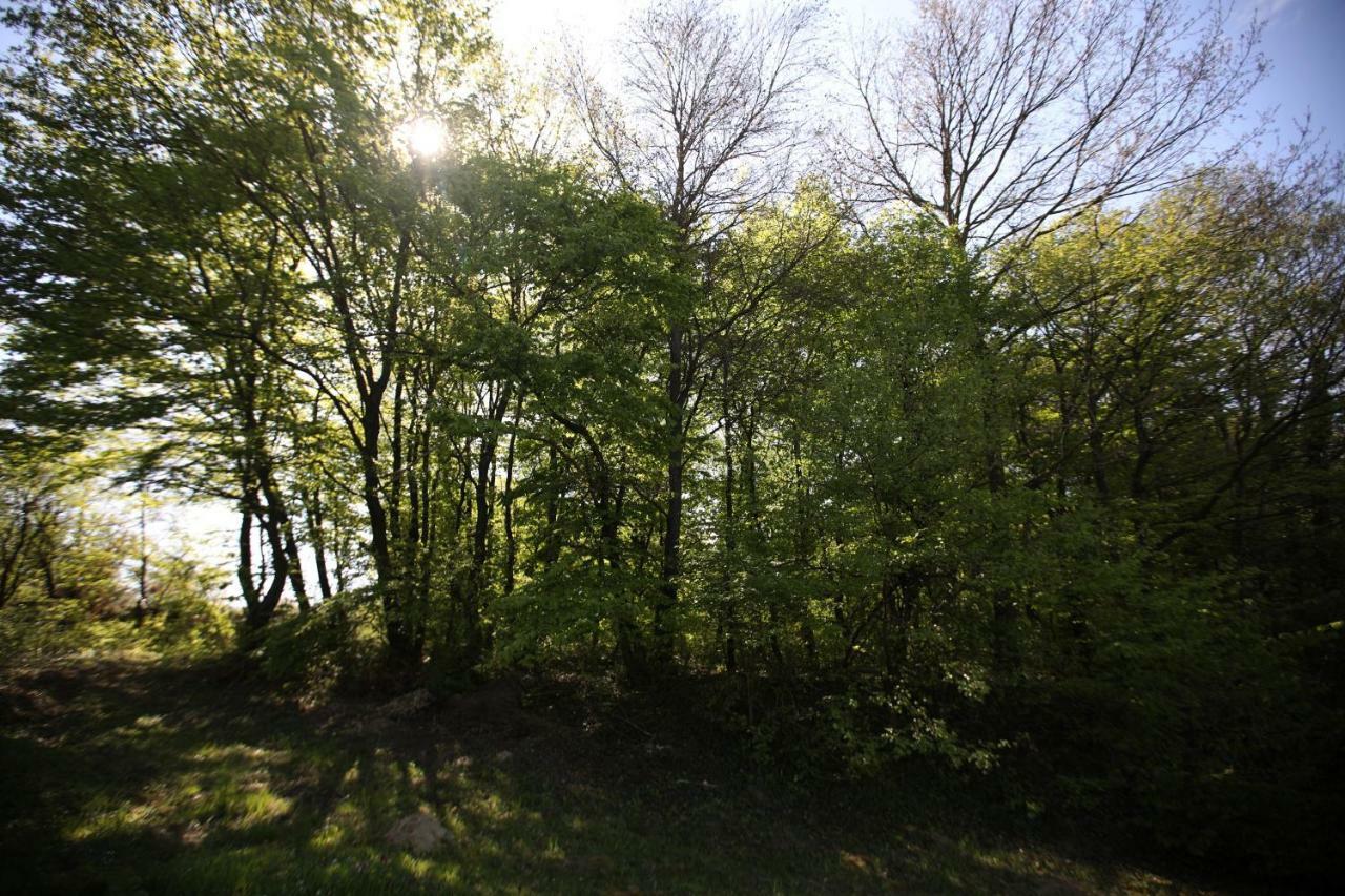 Varga Vendeghaz Sumegpraga Exteriér fotografie